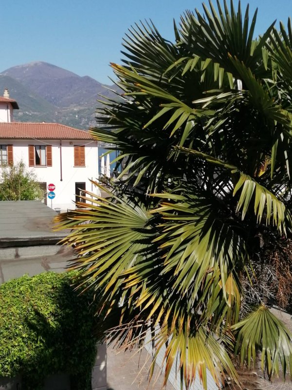 appartamento in affitto ad Iseo