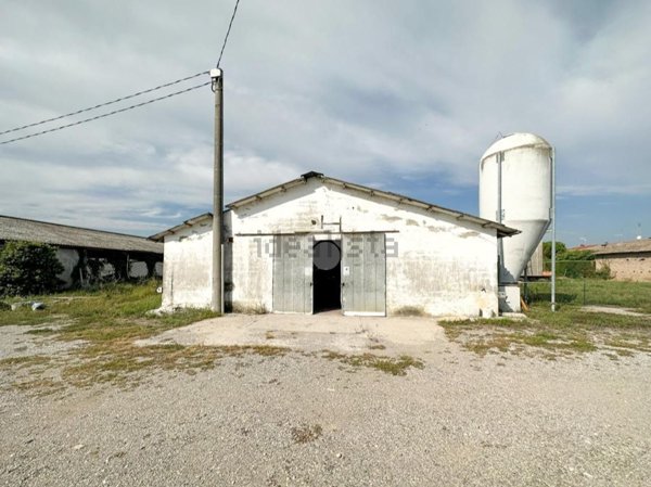 capannone in affitto ad Isorella