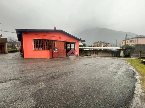 immagine annuncio 0 di 15