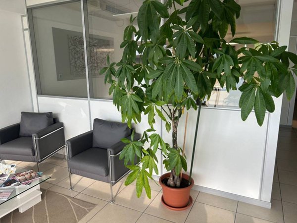 negozio in affitto a Manerba del Garda in zona Pieve Vecchia