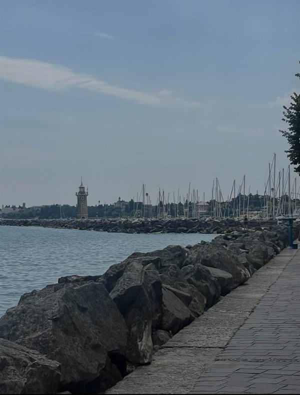 appartamento in affitto a Moniga del Garda