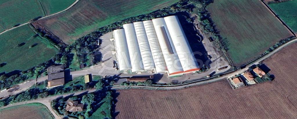 capannone in affitto a Montichiari