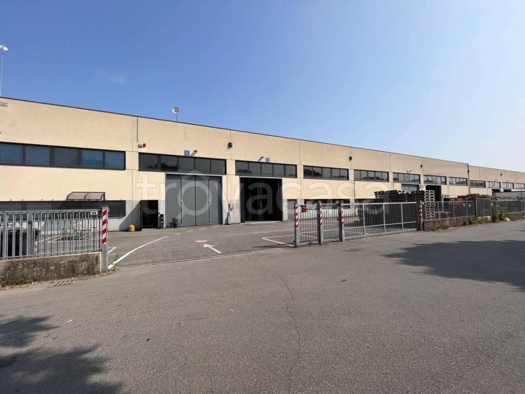 capannone in affitto a Montichiari in zona Fascia D'oro