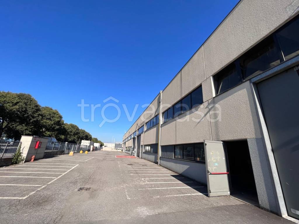 locale commerciale in affitto a Montichiari in zona Fascia D'oro