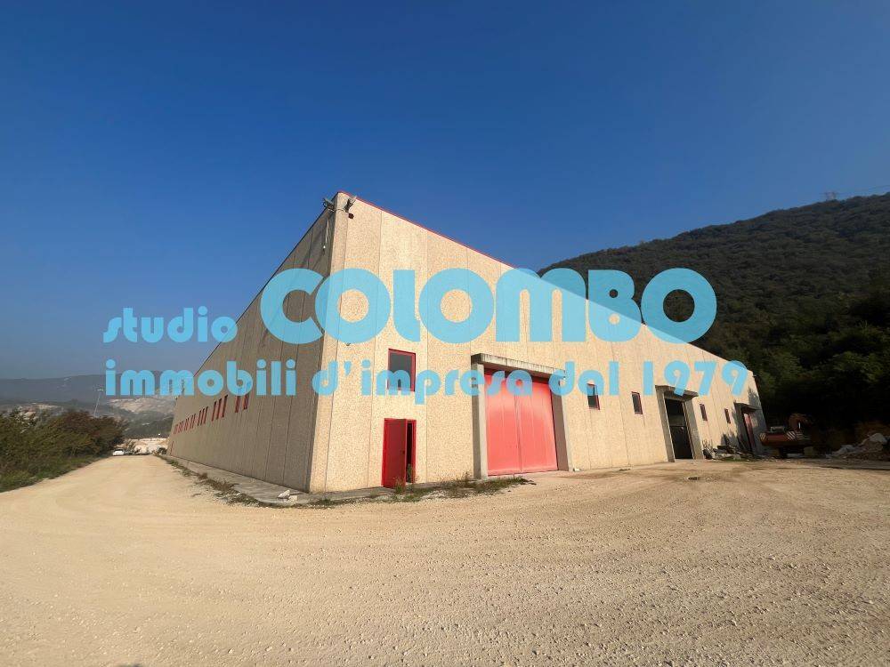 immagine annuncio 0 di 13