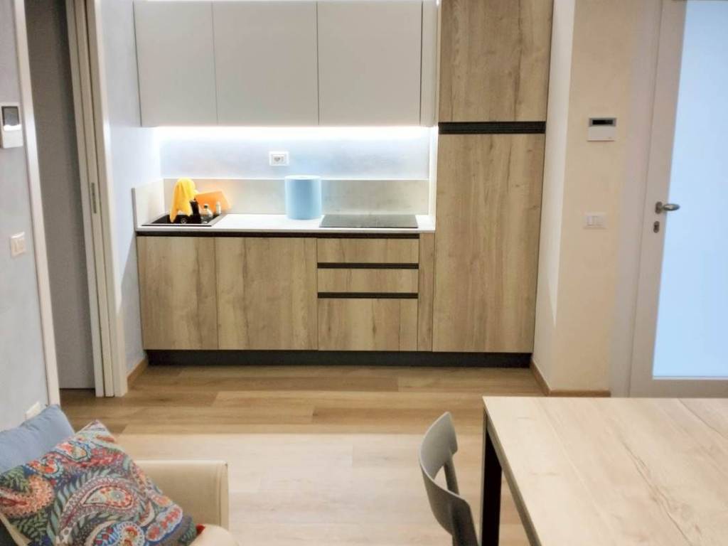 appartamento in affitto a Padenghe sul Garda