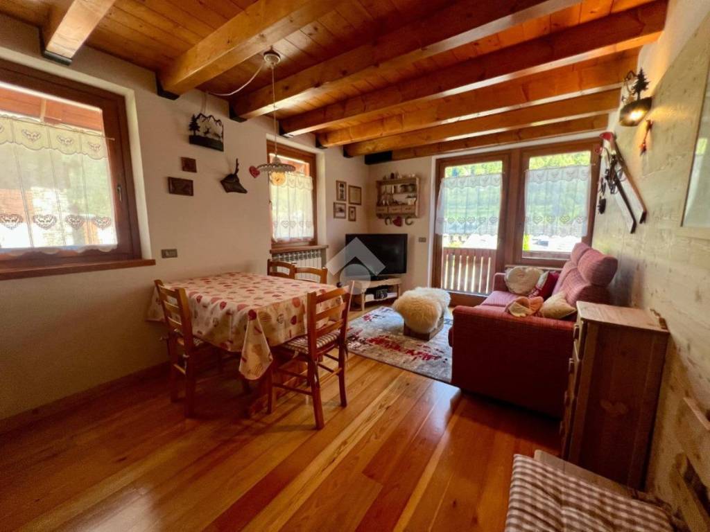 appartamento in affitto a Ponte di Legno