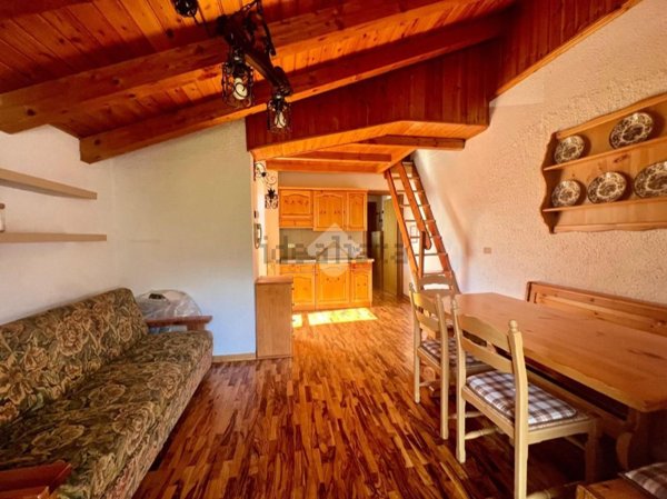 appartamento in affitto a Ponte di Legno
