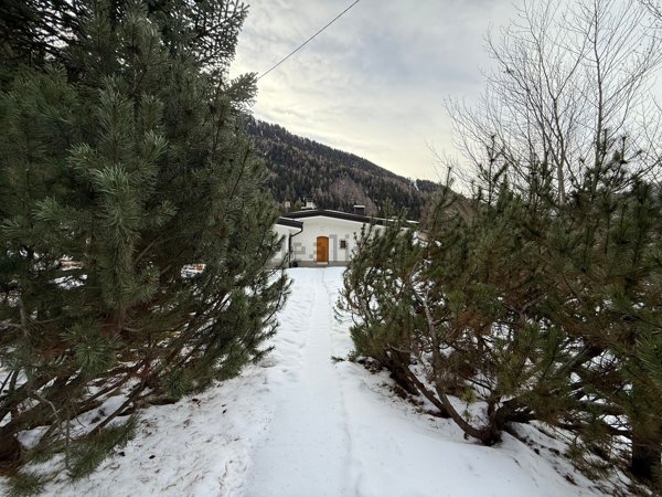casa indipendente in affitto a Ponte di Legno