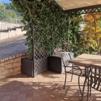 casa indipendente in affitto a Pozzolengo