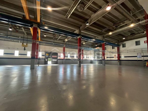 immagine annuncio 0 di 15