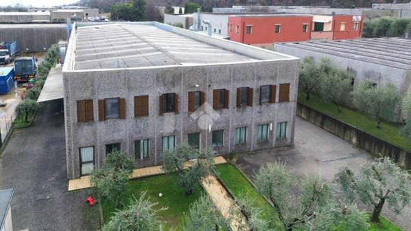locale commerciale in affitto a San Felice del Benaco in zona Portese