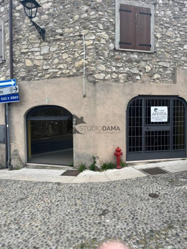 appartamento in affitto a San Felice del Benaco in zona Portese