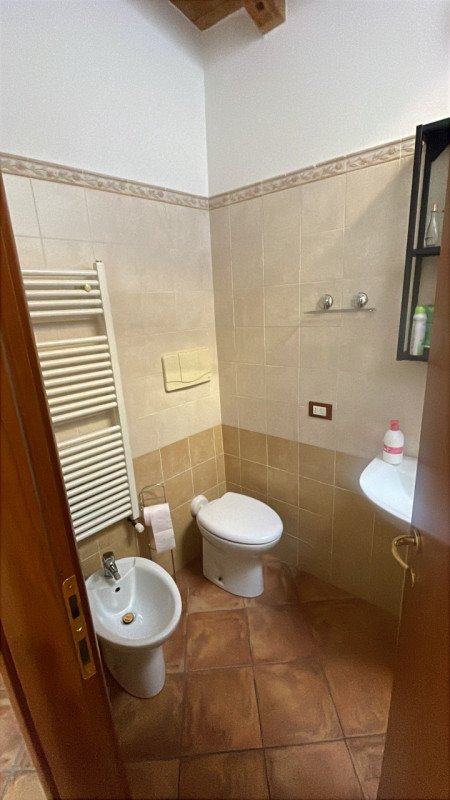 appartamento in affitto a San Felice del Benaco in zona Portese