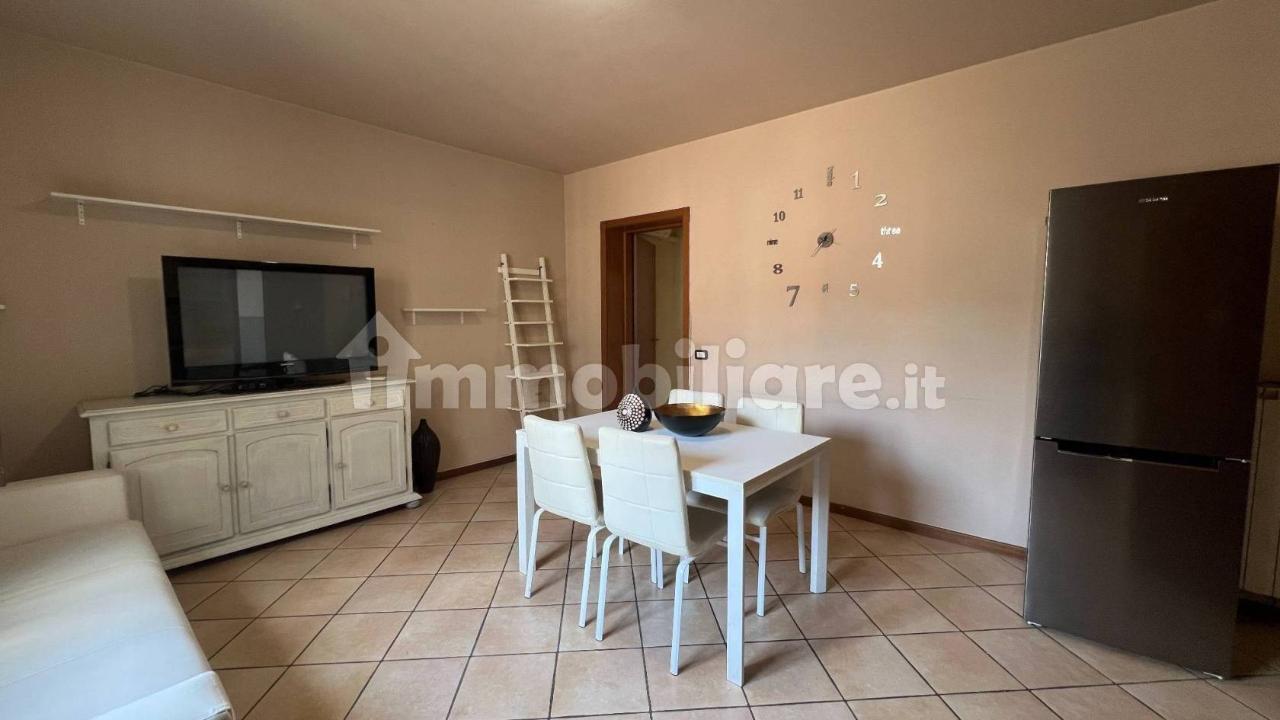 appartamento in affitto a San Zeno Naviglio