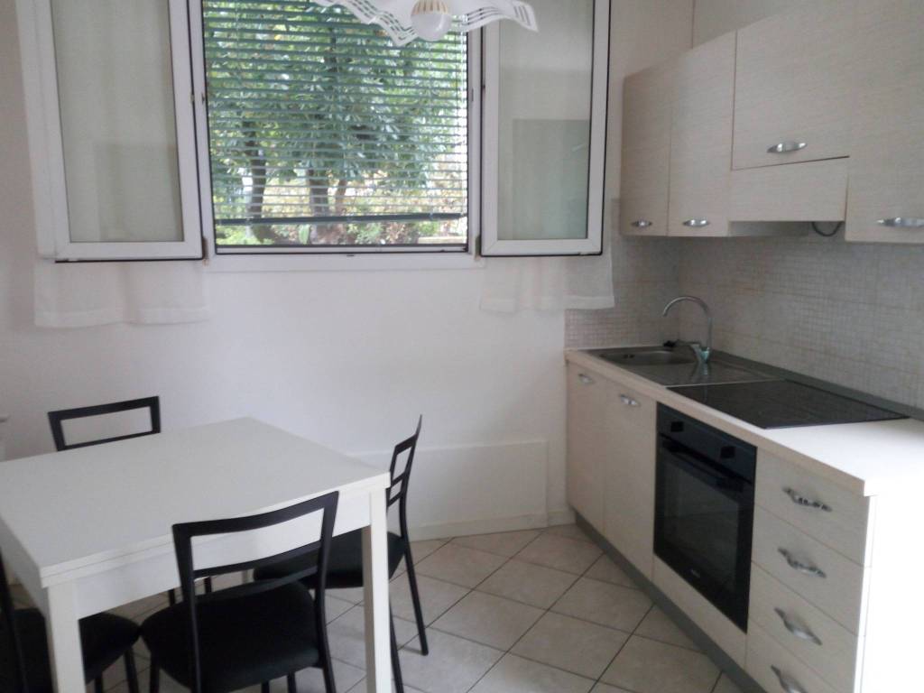 appartamento in affitto a Sirmione