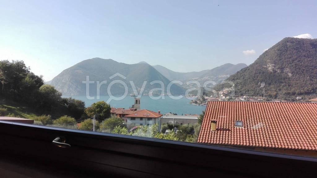 immagine annuncio 0 di 15