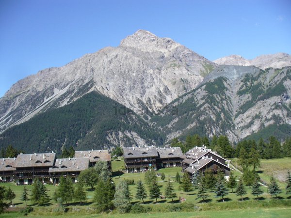 appartamento in affitto a Cesana Torinese