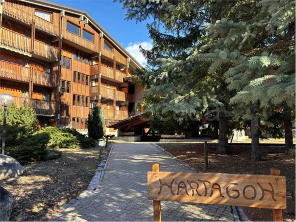 appartamento in affitto a Cesana Torinese