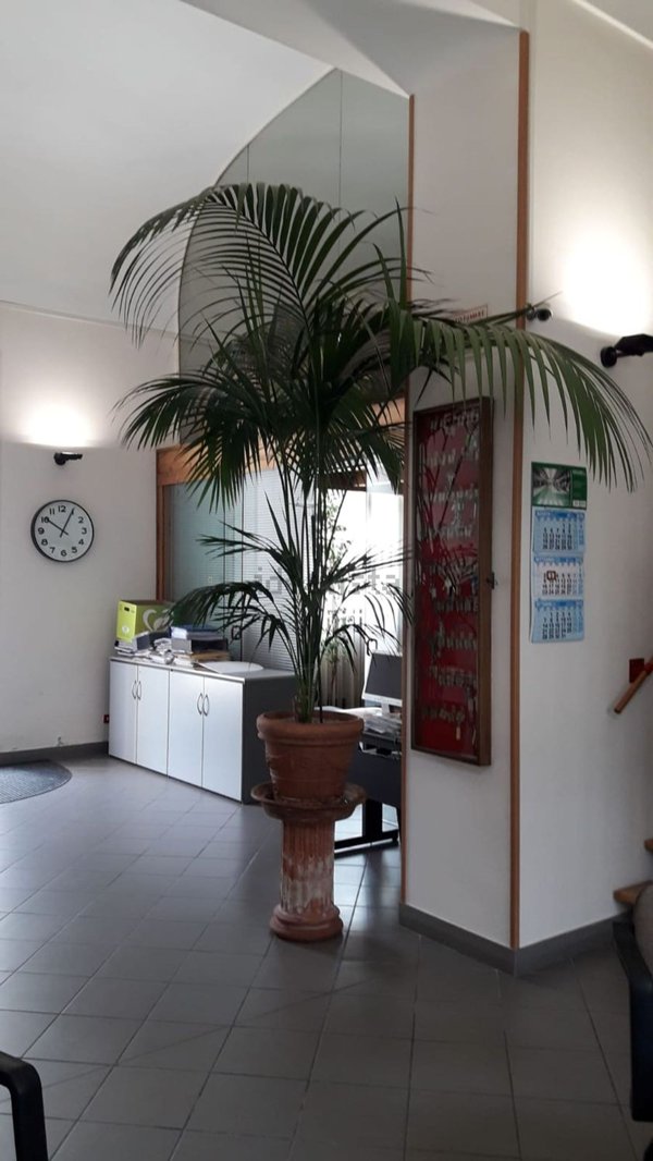 ufficio in affitto a Chieri