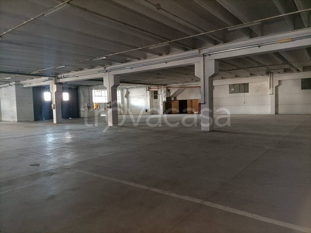 locale commerciale in affitto a Collegno