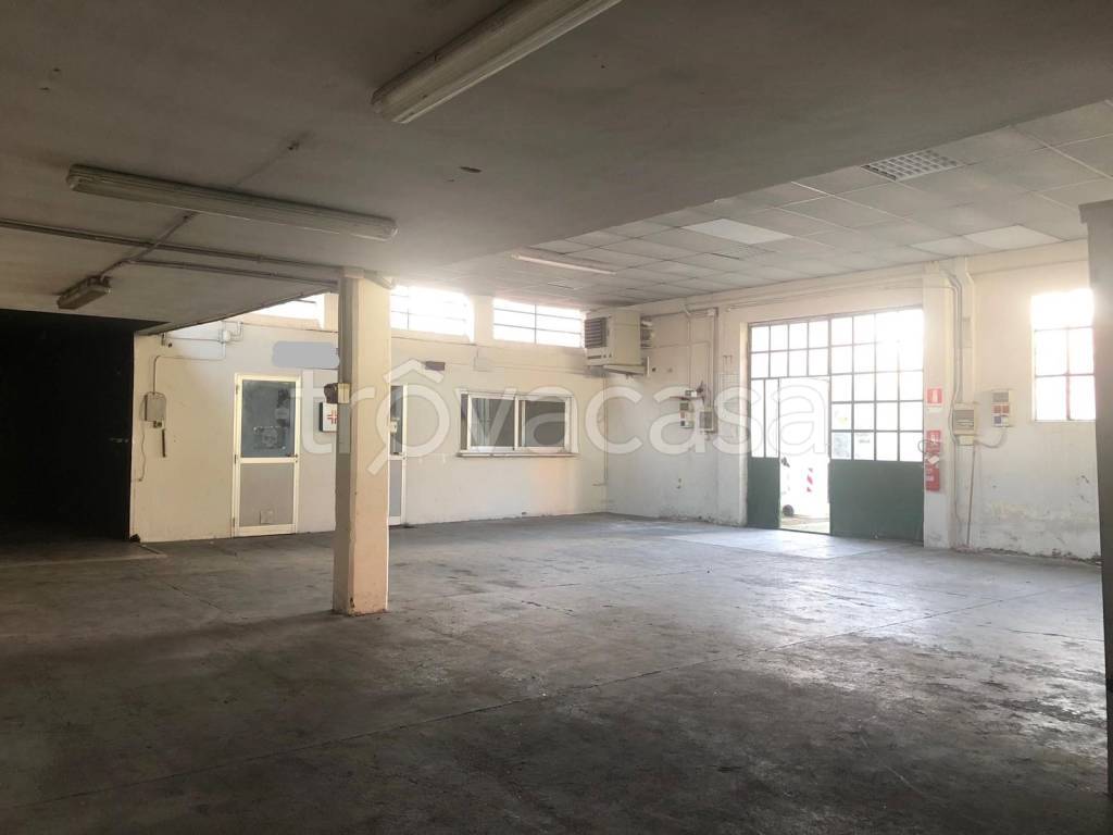 locale commerciale in affitto a Collegno