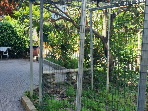 casa indipendente in affitto a Collegno