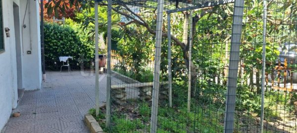 casa indipendente in affitto a Collegno