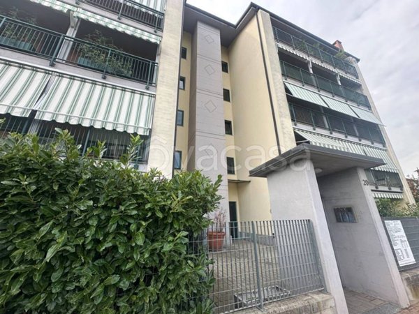 appartamento in affitto a Collegno