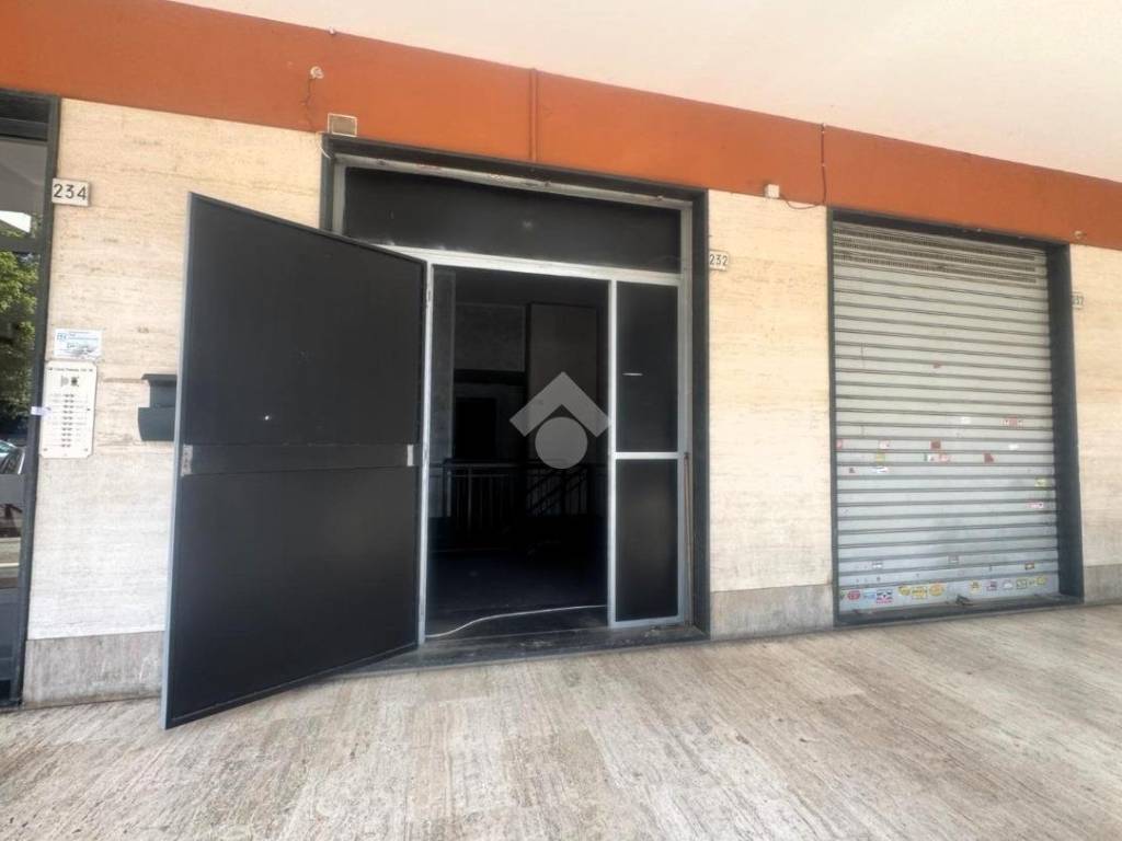 negozio in affitto a Collegno