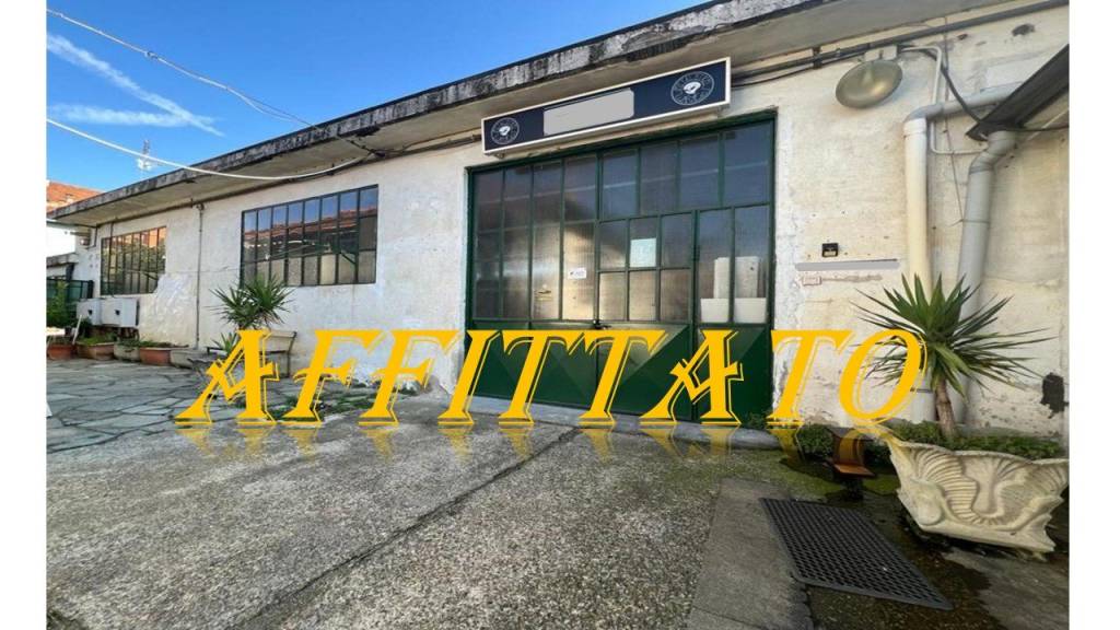 locale commerciale in affitto a Collegno