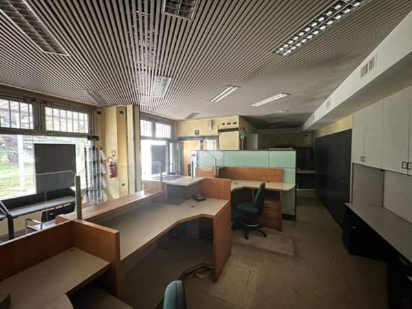 negozio in affitto a Collegno