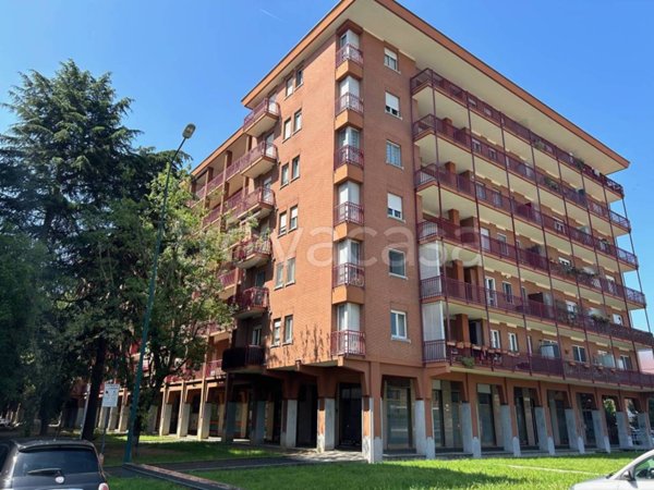 appartamento in affitto a Collegno