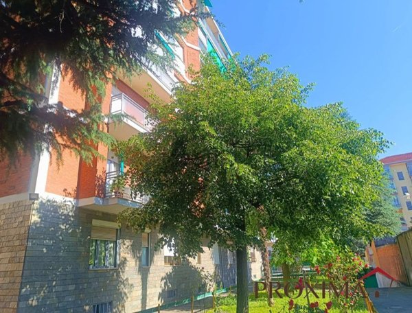 appartamento in affitto a Collegno
