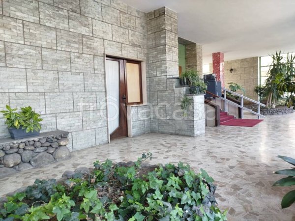 appartamento in affitto a Collegno
