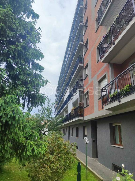 appartamento in affitto a Collegno