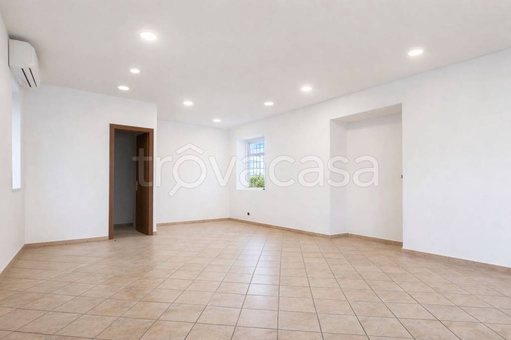 negozio in affitto a Frossasco