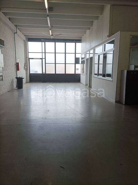 locale commerciale in affitto a Grugliasco