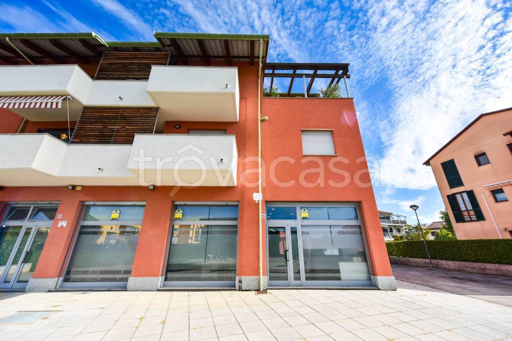 negozio in affitto a Grugliasco