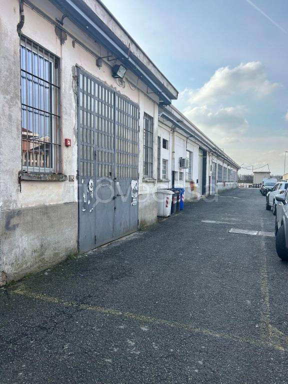 appartamento in affitto a Grugliasco