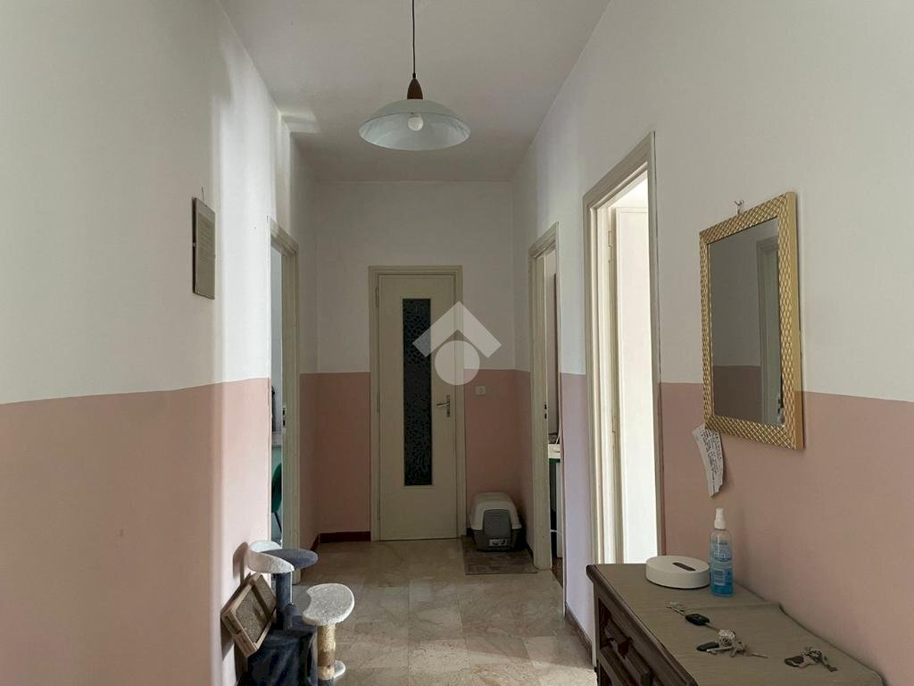 immagine annuncio 0 di 14