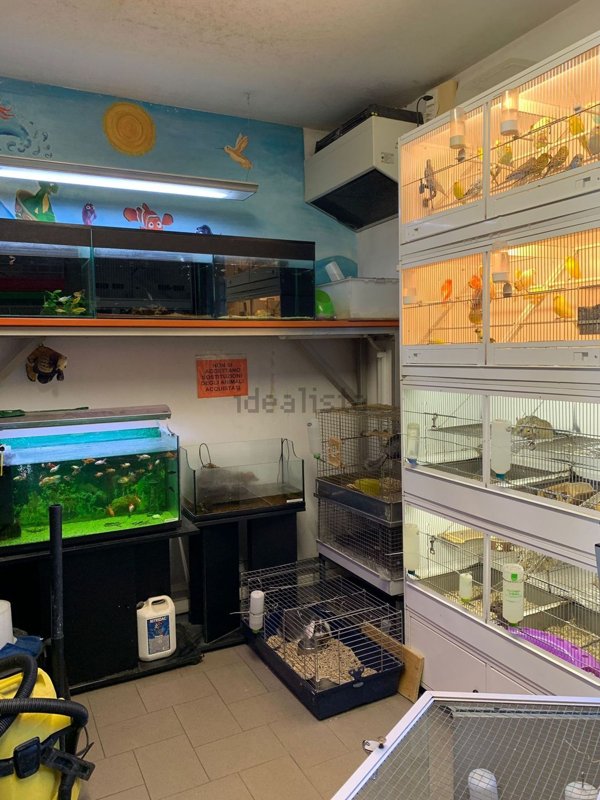 negozio in affitto ad Ivrea