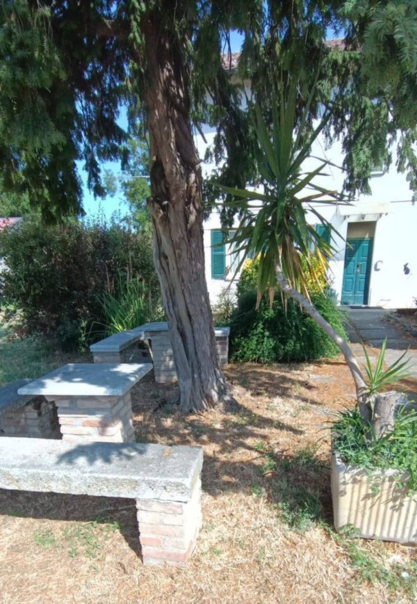 appartamento in affitto a Barbianello