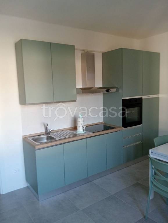 appartamento in affitto a Belgioioso