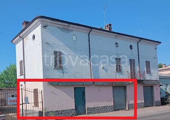 negozio in affitto a Bressana Bottarone