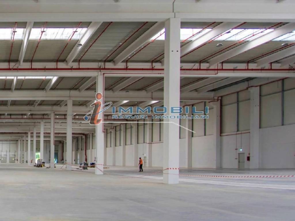 negozio in affitto a Broni