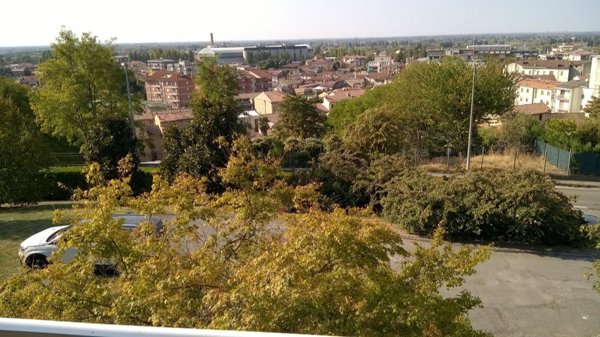 appartamento in affitto a Broni