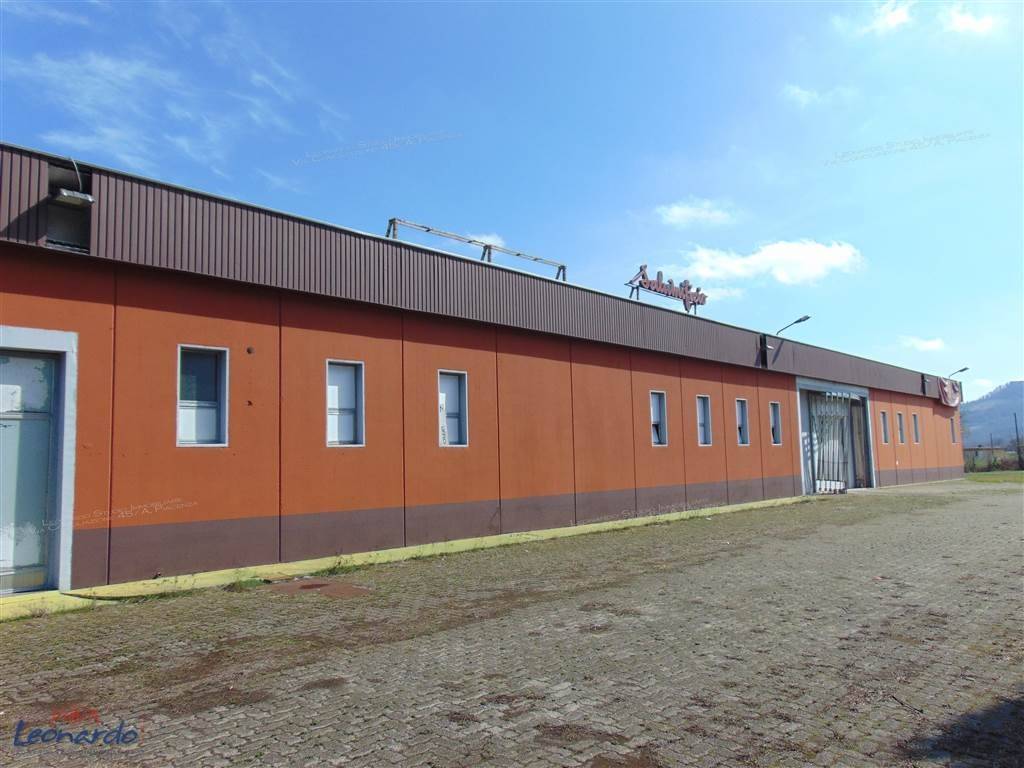 locale commerciale in affitto a Campospinoso Albaredo