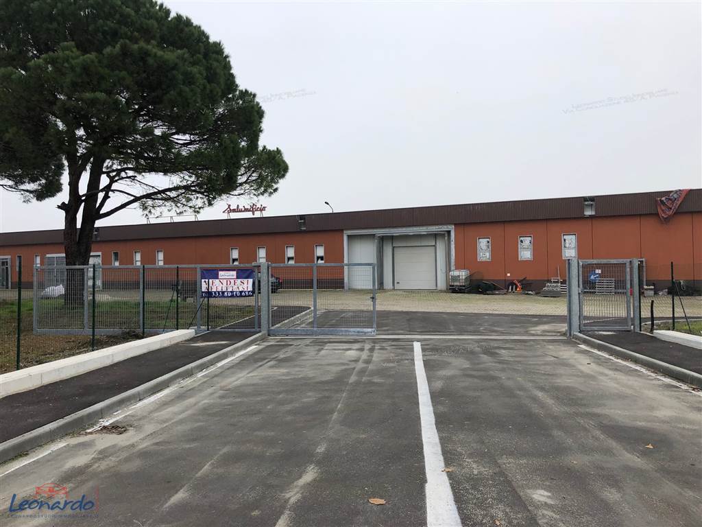 casa indipendente in affitto a Campospinoso Albaredo
