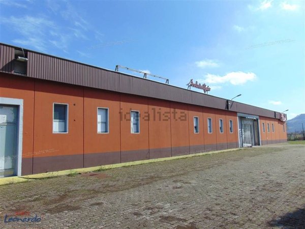 casa indipendente in affitto a Campospinoso Albaredo